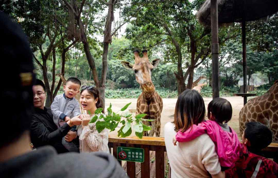 在动物园散步才是正经事 去动物园散步才是正经事