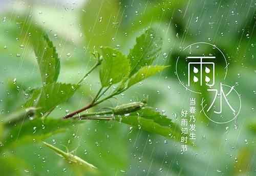 谷雨的来历和风俗 谷雨的含义和谚语