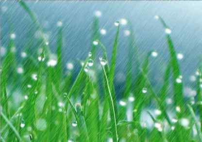 谷雨的来历和风俗 谷雨的含义和谚语