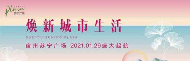 宿州招商项目 宿州苏宁广场2021年亮相 超40％品牌首入
