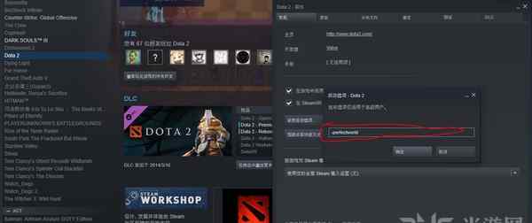 steam国服启动项 刀塔自走棋国服服务器进入方法 dota2国服启动项命令