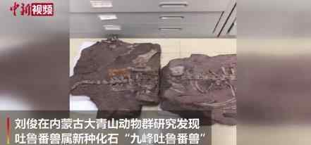 中国发现2.5亿年前九峰吐鲁番兽 “九峰吐鲁番兽”长啥样
