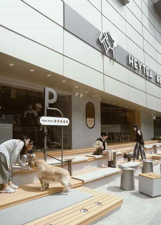 深圳宠物店 喜茶首家“宠物店”在深圳开业，门店也能社交化