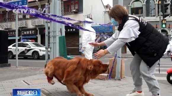 大兴有宠物家庭可留一人居家隔离 北京大兴隔离新规定人性化