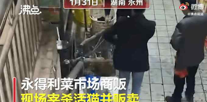 官方回应湖南永州市场卖现宰活猫