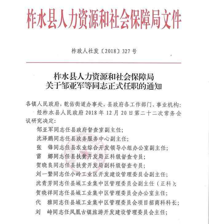 洛南县人民政府 近期，两县区任免干部通知