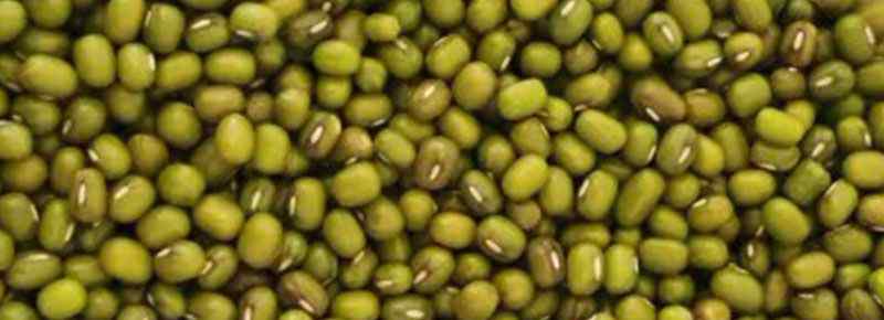 绿豆怎么做成淀粉