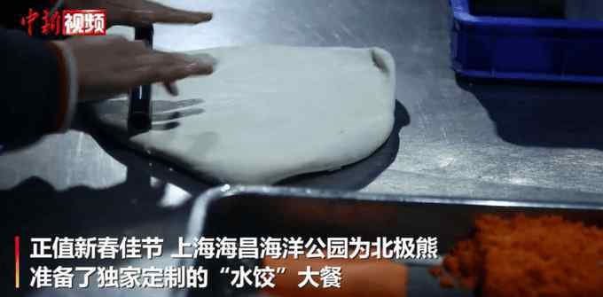 上海北极熊过年吃到4斤重大饺子