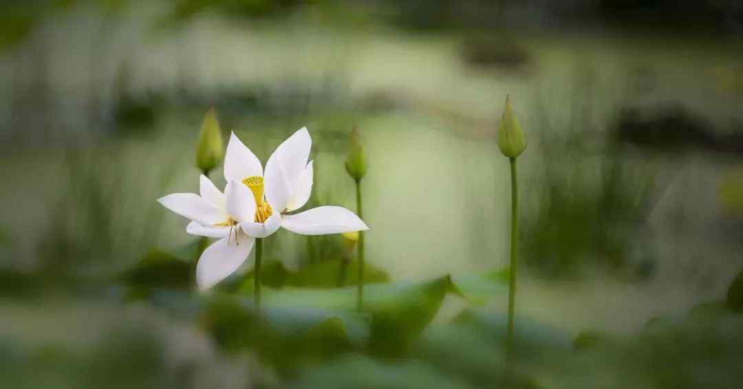 神经高度紧张 师父说 |神经高度紧张（上）