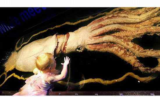巨型龙虾 英国巨型龙虾长约0.76米 全球巨型生物大盘点