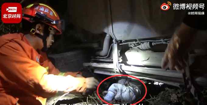 重庆一车坠落20米悬崖 婴儿并无明显外伤 且生命体征良好 登上网络热搜了！