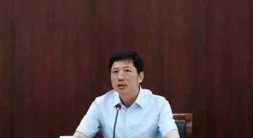 重庆原公安局长邓恢林被决定逮捕 犯了什么罪?到底是什么状况?