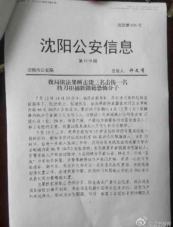 沈阳击毙 沈阳警方击毙3名持刀拒捕新疆籍恐怖分子