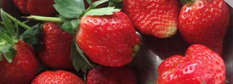 新鲜草莓一般可以放多久
