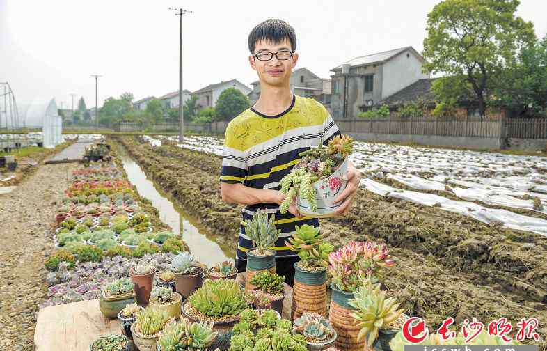 多肉种植 长沙大学生养“多肉”闯出致富路 月销数万惊呆老农