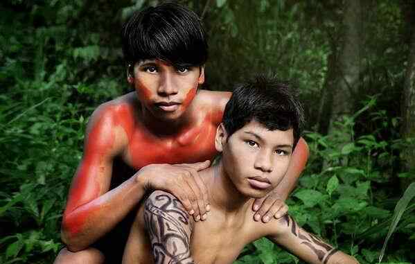 巴西丛林 巴西亚马逊丛林的原始部落 女人生活中都不穿衣服