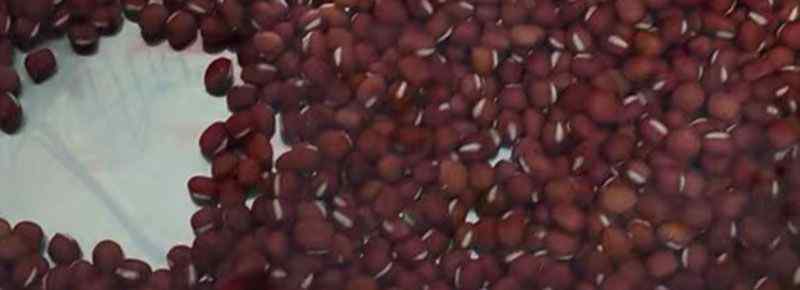 红豆薏米可以反复加水煮吗