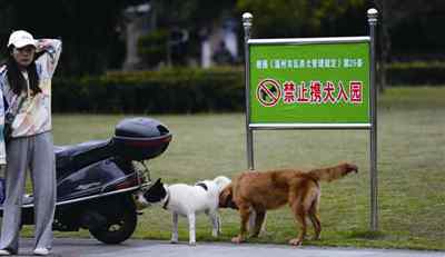 banzheng “养狗证”到底找谁办？打了一圈电话还是找不到“主管部门”