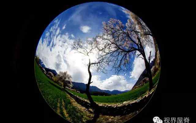 中国波密 西藏波密：中国最美的春天在这里