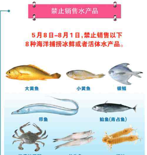 休渔期是什么时候2017 关于2017年浙江省海洋禁渔休渔的通告