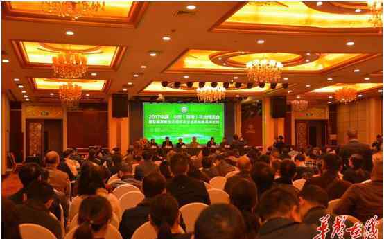 胡石英 首届湖南生态循环农业品牌战略高峰论坛在长沙开幕
