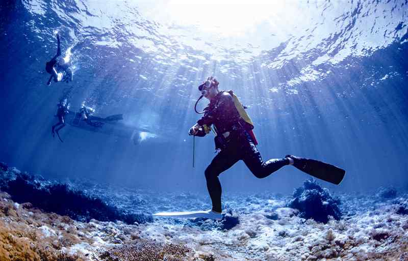 海狼鱼 温州小伙酷爱潜水 5年去了50多国海域探索海底世界