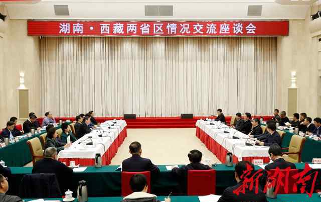 洛桑江村 湖南·西藏两省区情况交流座谈会在长沙举行