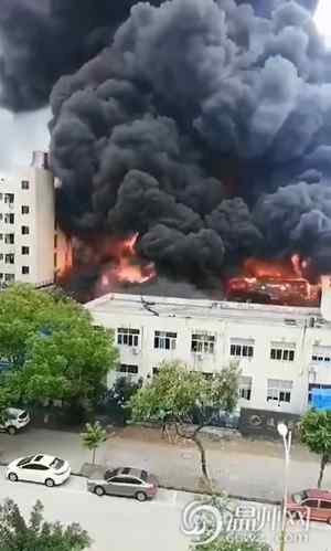 温州大火 温州经开区一厂房突发大火 现场浓烟滚滚