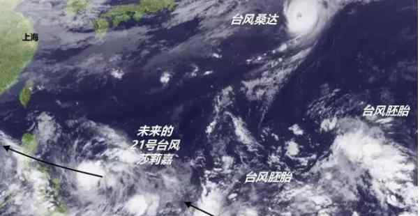 莎莉嘉台风 21号台风路径实时发布系统：台风“莎莉嘉”最新消息