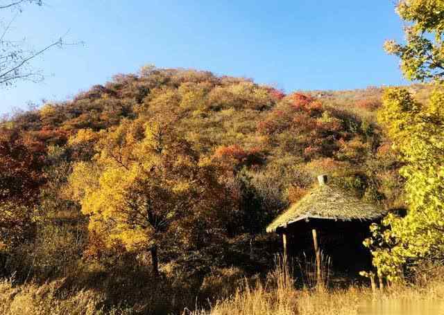 白瀑寺 自驾攻略丨深藏北京山洼的巨大型雕塑寺院-白瀑寺，惊艳你的眼球