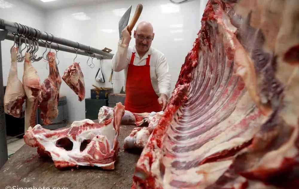 猪瘟 有人吃了带猪瘟的肉，一家人都遭了，猪瘟肉真这么可怕？