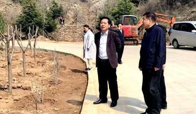 博山新闻网 博山区精心打造县道绿化标杆路“网红路”