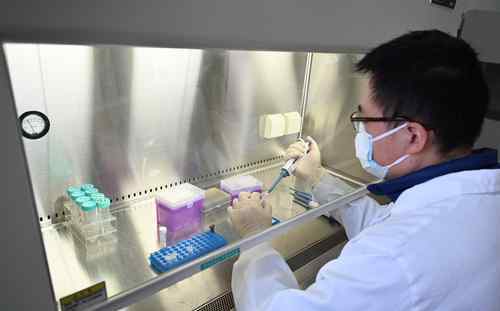 病毒RNA提取试剂盒 福州大学研发出“一步法病毒RNA提取试剂”