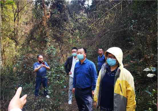 周卫星 周卫星调研资江流域（益阳段）锑污染整治工作