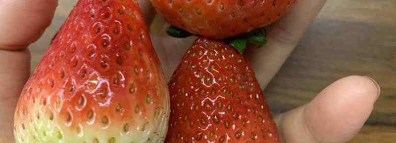 奶油草莓和红颜草莓的区别