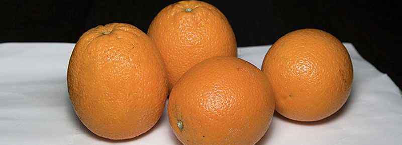 果冻橙是橙子还是橘子