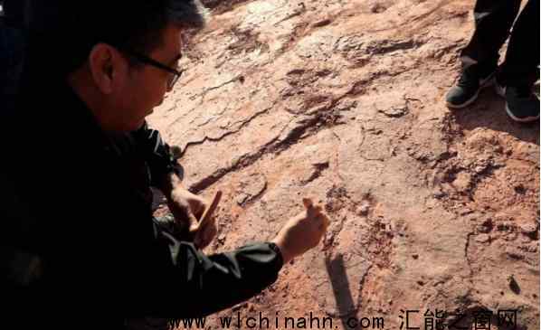 福建上杭首次发现恐龙足迹群 究竟是怎么发现