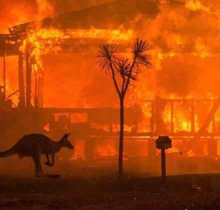 澳大火已排放4亿吨二氧化碳 澳洲大火已排放二氧化碳约4亿吨
