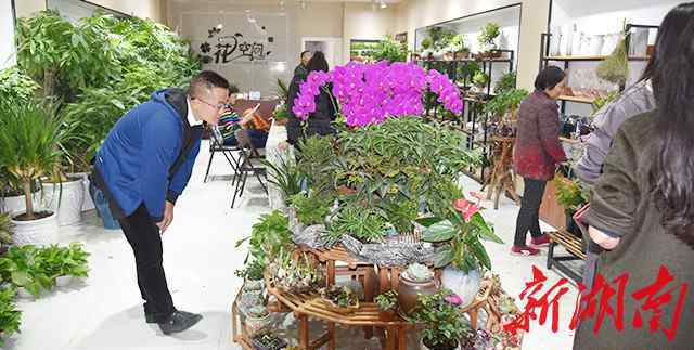 怀化鲜花 “花空间”：99元包月，每周一束鲜花定时送上门