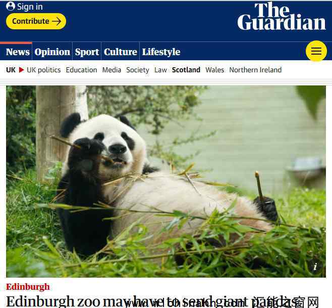 英国考虑将大熊猫送回中国 为什么会这样
