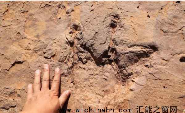 福建上杭首次发现恐龙足迹群 究竟是怎么发现