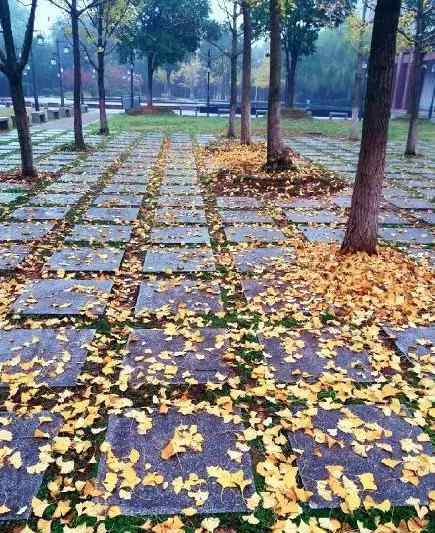 湖南中医药大学图书馆 长沙拍照颜值最上镜的10间高校图书馆，看看有没有你母校!