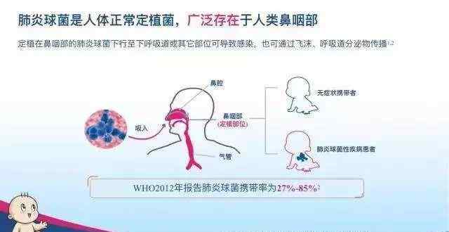 23价肺炎和13价肺炎区别 13价肺炎疫苗和23价肺炎疫苗有什么区别