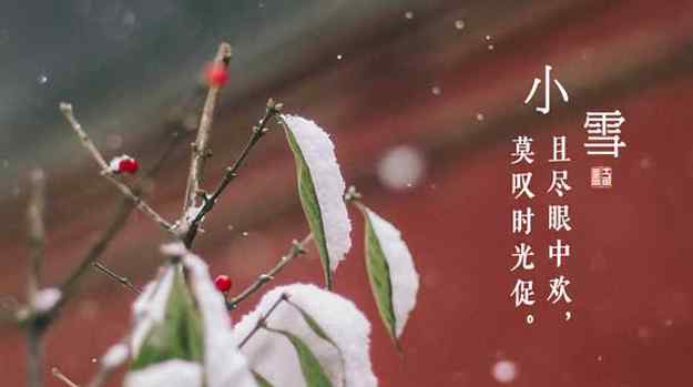 雪诗词 关于小雪的诗句有哪些？小雪古诗词大盘点