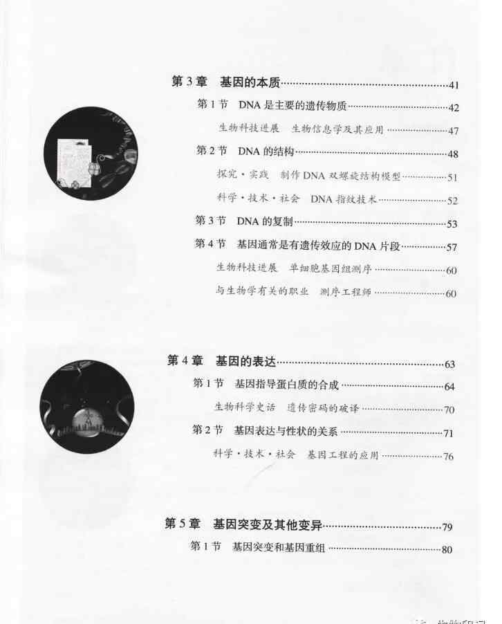 人教版生物必修二 2019秋新人教版高中生物必修二（遗传与进化）电子课本