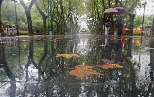 上海气象台天气预报 上海周末天气预报 暴雨来袭气温下降
