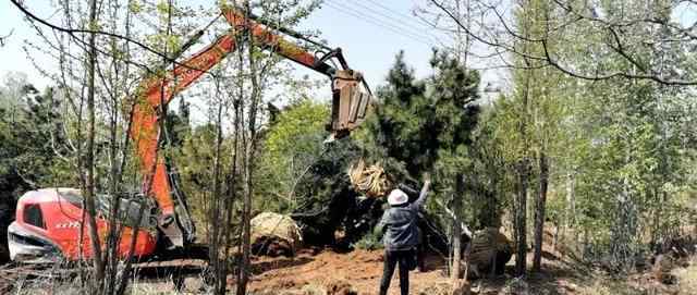 博山新闻网 博山区精心打造县道绿化标杆路“网红路”