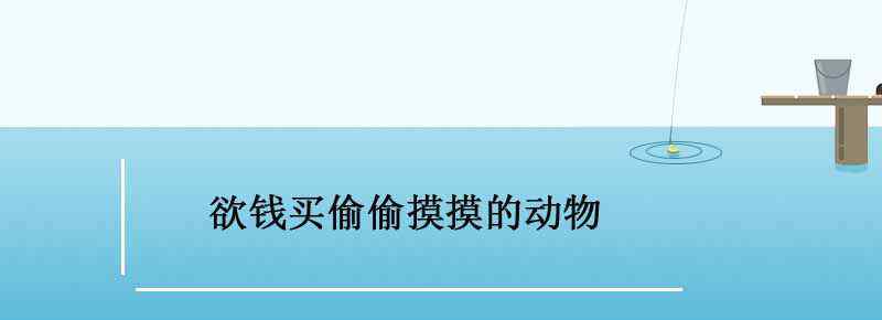 欲钱买偷偷摸摸的动物