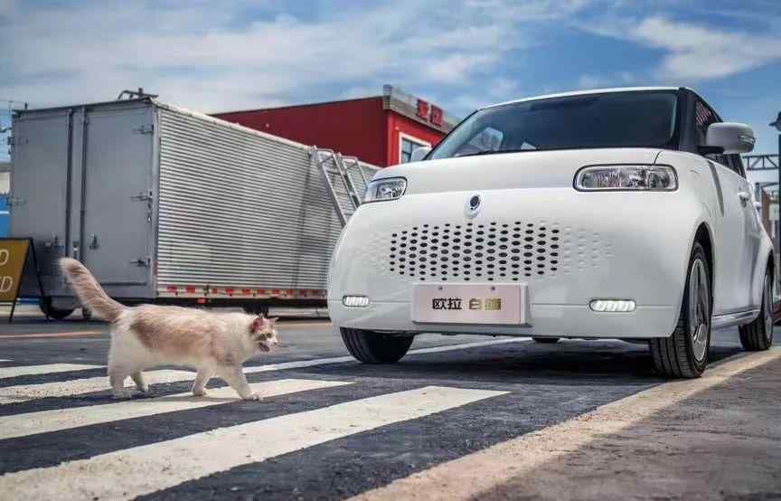 中国可以买到的kcar 原创 中国版Kcar来了，欧拉白猫正式上市，售：7.58万元起！