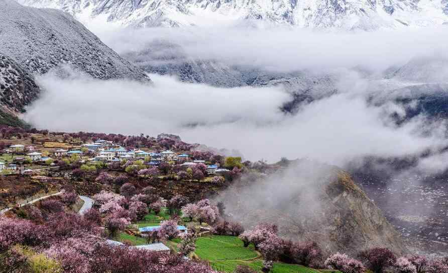 林芝地区林芝县天气 林芝天气介绍 林芝气候简介